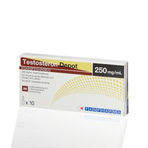 Testosteron Depot 250 mg Panpharma emballage du médicament | unanabolisants.com
