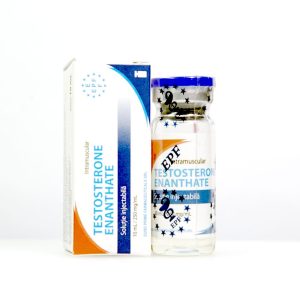 Testoged E 250 mg Euro Prime Farmaceuticals emballage du médicament | unanabolisants.com