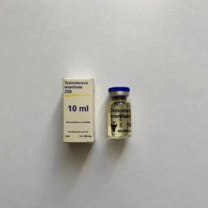 Testosterone Enanthate 250 mg Moldavian Pharma emballage du médicament | unanabolisants.com