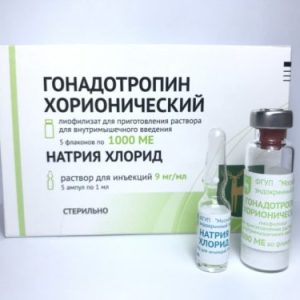 Gonadotropina corionica FGYP Pianta endocrina di Mosca emballage du médicament | unanabolisants.com