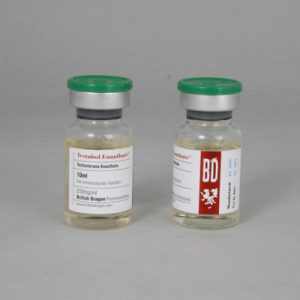 Testabol énanthate 250mg/ml (10ml) emballage du médicament | unanabolisants.com